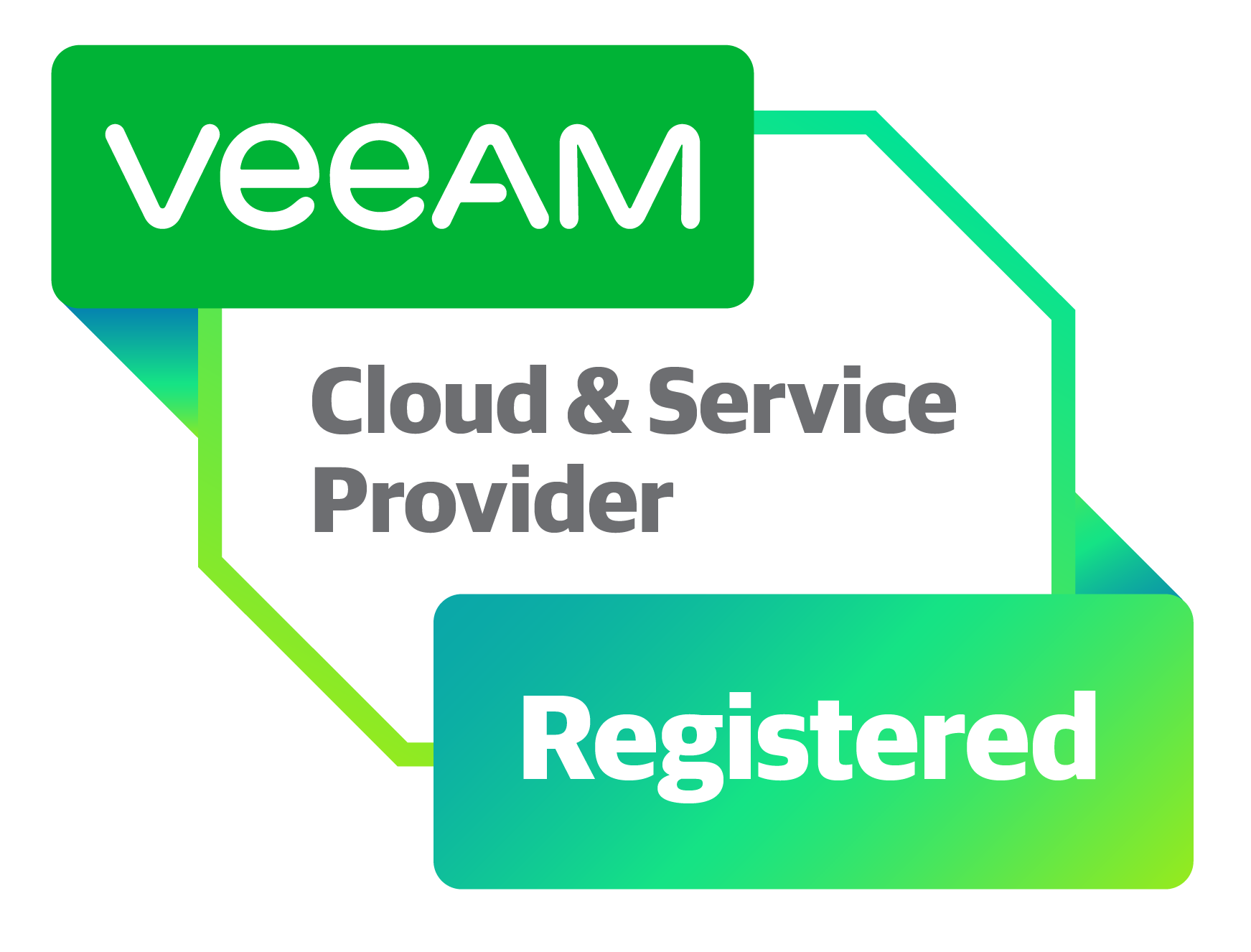 VEEAM_partner_logo